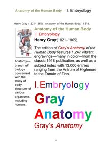 ׷̾Ƴ غ ߿ 1 ߻.Grays Anatomy,Anatomy of the Human Body, I. Embryology.b