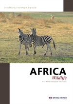 (2014 б ڿڹ Ư)AFRICA Wildlife