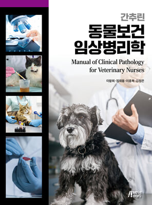 ���߸� �������� �ӻ󺴸���