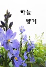 ϴ 