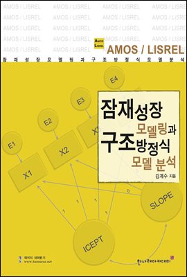 ���缺��𵨸��� ���������ĸ��� �м�(AMOS LISREL)