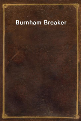 Burnham Breaker