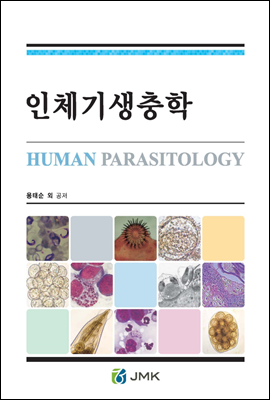 ��ü�������