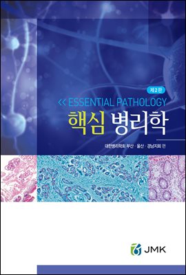 �ٽ� ������ [��2��]