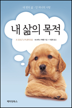 �� ���� ����