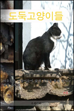 ���ϰ����̵�