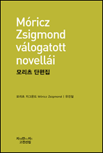 ���� ������ - ��������������� ��������