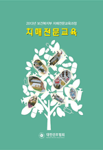 ġ���������� - 2013�� ���Ǻ����� ġ��������������