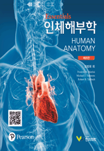 Essentials ��ü�غ��� (8��)