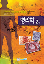 ������ (2��)