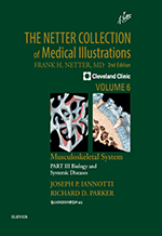 The Netter Collection Vol 6 ����������� Part 3 (2��)