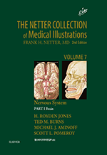 The Netter Collection Vol 7 �Ű���� PART 1 (2��)