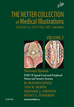 The Netter Collection Vol 7 �Ű���� PART 2 (2��)