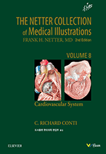 The Netter Collection Vol 8 �������� (2��)