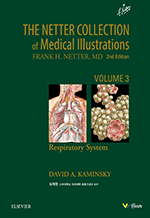 The Netter Collection Vol 3 ȣ������� (2��)