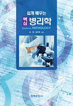 ���� ���� �ٽ� ������